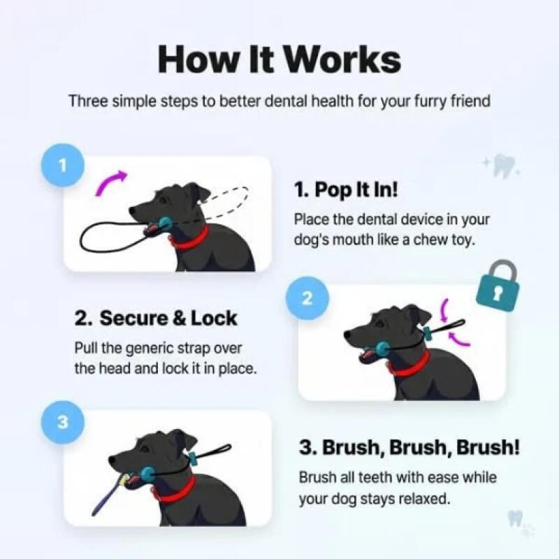 Dual Function Pet Dental Chew  - Teeth Whitening Brush review and price