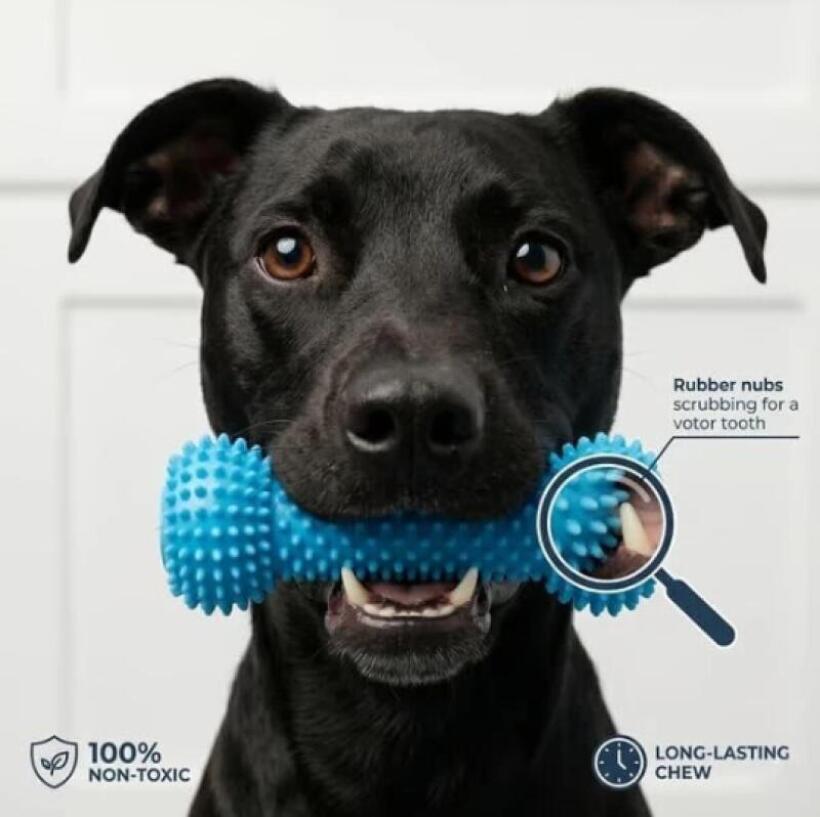 Dual Function Pet Dental Chew  - Teeth Whitening Brush review and price