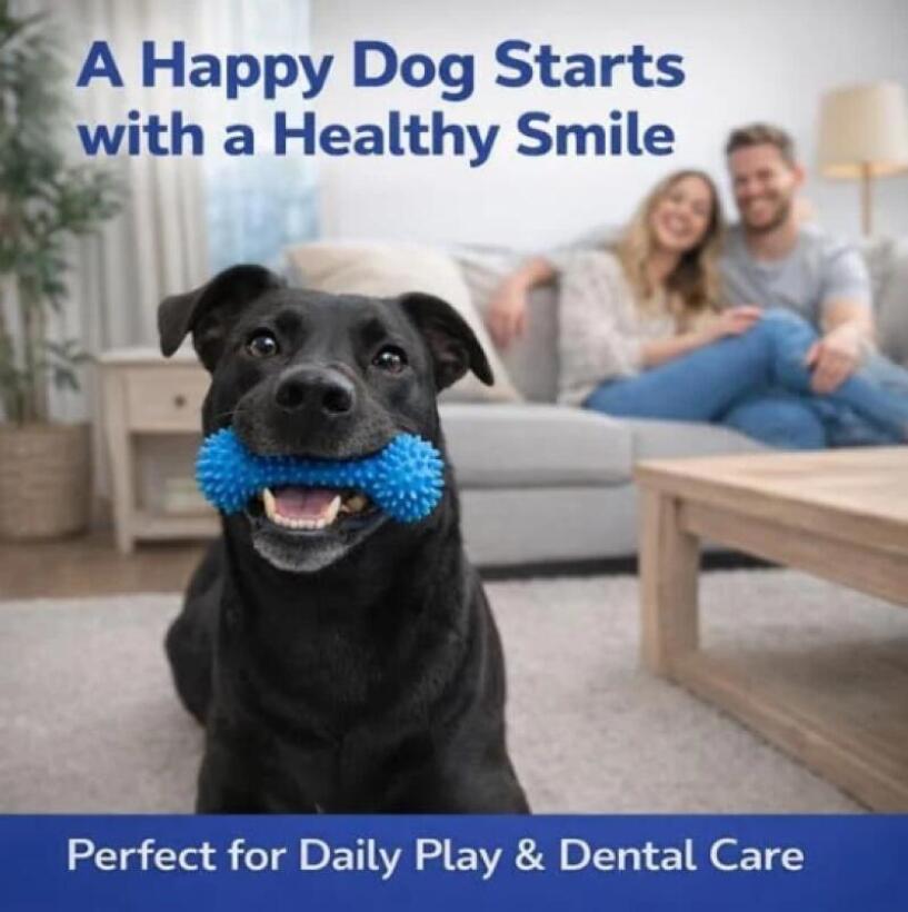 Dual Function Pet Dental Chew  - Teeth Whitening Brush review and price