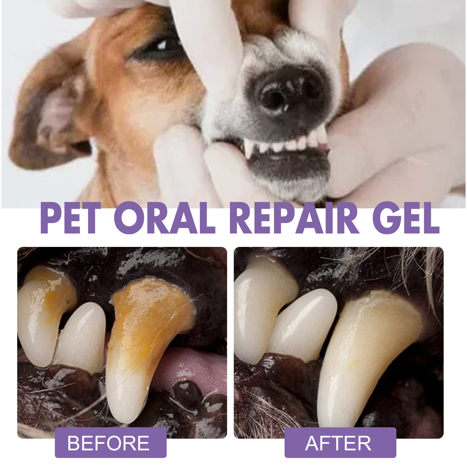 Pet Oral Repair Gel Puppy Tart - Teeth Whitening Gel review and price