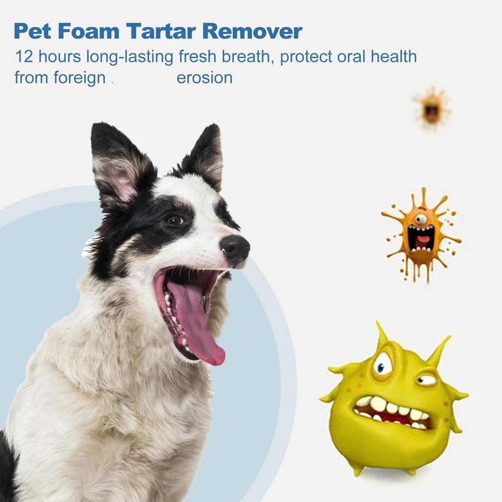 60ml Pet Oral Care Foaming Cle - Teeth Whitening Brush review and price