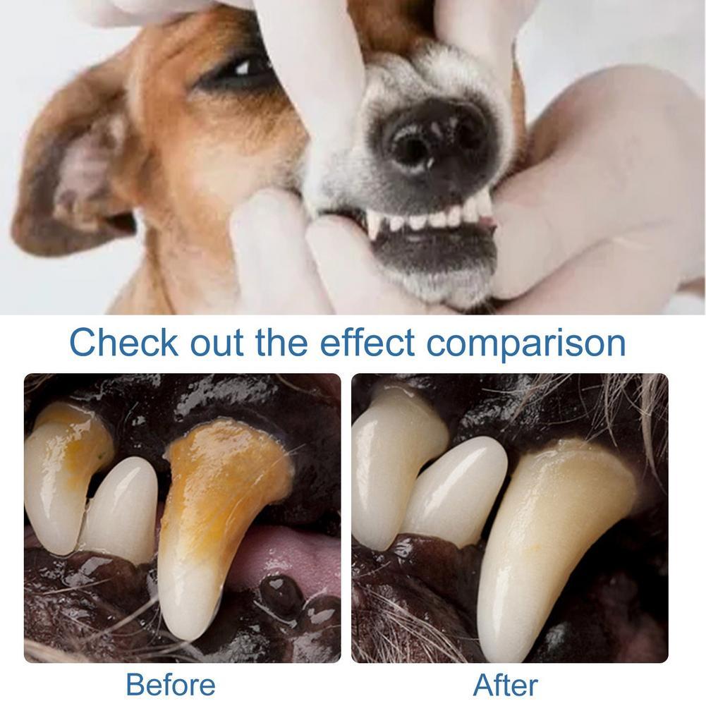 60ml Pet Oral Care Foaming Cle - Teeth Whitening Brush review and price